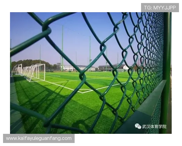 论武汉凯发体育如何推动全民健身运动的普及与推广 论武汉凯发体育如何推动全民健身运动的普及与推广